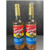 Image 1 : 2 Torani Classic Hazelnut Naturally Flavored Syrups; 750ml Each - BB: FEB 01/2027 - New