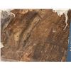 Image 2 : 3 Pallets of Brown Keros Ceramic Tile (50cm x 50cm)