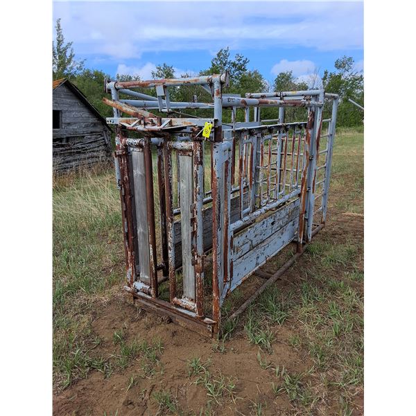 Pearson Cattle Squeeze w/Palpation Cage - 8Ft x 3Ft x 6Ft & 11Ft x 4Ft x 6Ft w/Cage