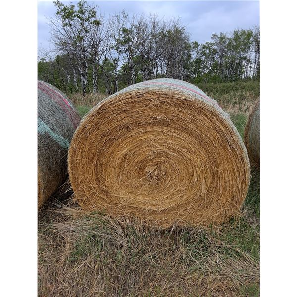 34X BID PRICE: Bales - 2024 Year Made Round Feed Bales (Slough Hay)