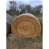 Image 1 : 34X BID PRICE: Bales - 2024 Year Made Round Feed Bales (Slough Hay)