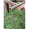 Image 3 : Farm Built Roller Table 6.5' x 2', 2x2" HSS 12' 10" Long,(2) 16" Steel,4' 2" x .5" thick Angle Iron