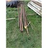 Image 1 : (14) 8' Tee Posts