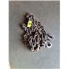 Image 1 : 20' Heavy Duty Chain with Hooks