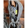 Image 2 : (2) Set Light Horse Driving Harness