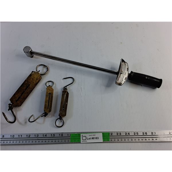 Pocket Scales and Torque Wrench