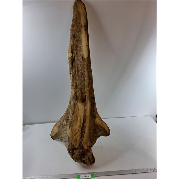 Decorative Drift Wood - 45'' Long -  PICK UP ONLY