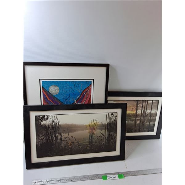 (3) Framed Pictures  -  PICK UP