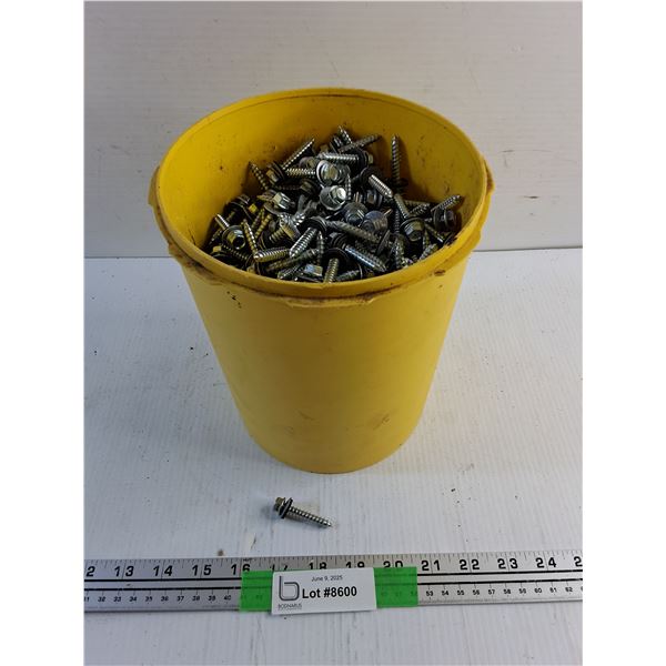 Plastic Bucket and Screws