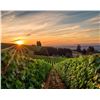 Image 4 : Willamette Valley: The Perfect Setting