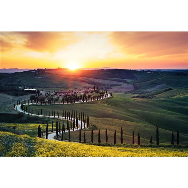 Under the Tuscan Sun