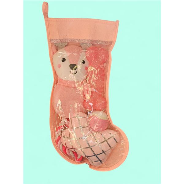 Pet Stocking