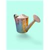 Image 1 : watering can