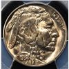 Image 2 : 1938-D BUFFALO NICKEL PCGS MS-66