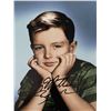 Image 1 : Leave it To Beaver Jerry Mathers signed photo