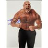 Image 1 : WWE Bill Goldberg signed photo