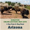 Image 1 : 1-Day Ram & Hog Hunt in Arizona