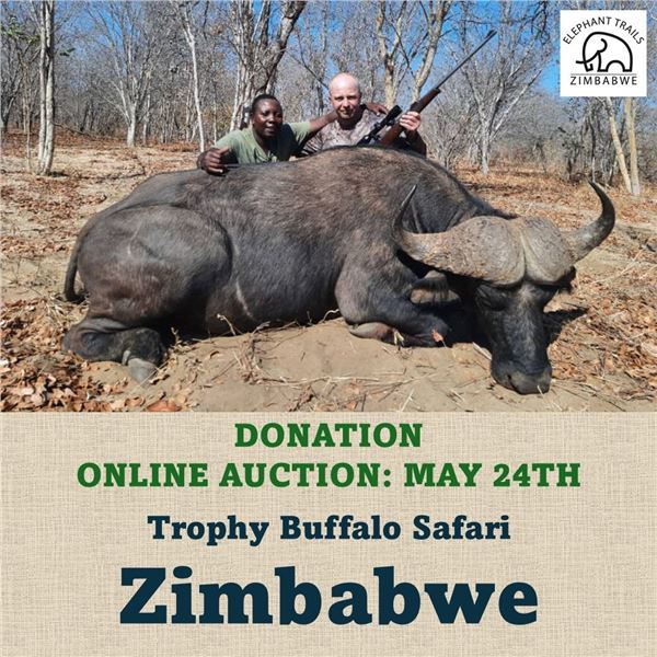Trophy Buffalo Safari