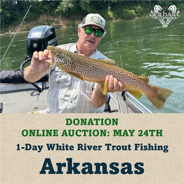 1-Day White River Trout Fishing in Arkansas