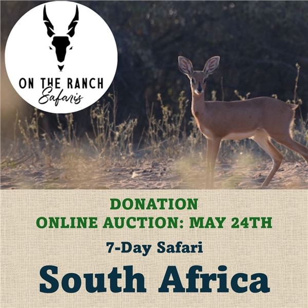 7-Day Safari in South Africa