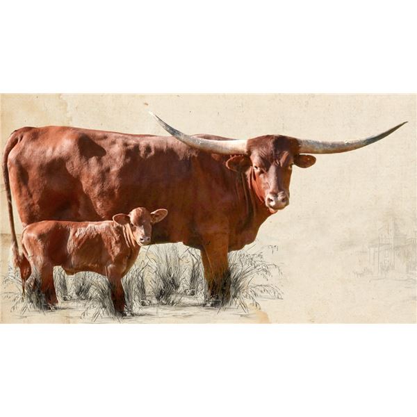 GLR TEXANA CRACKER GAL