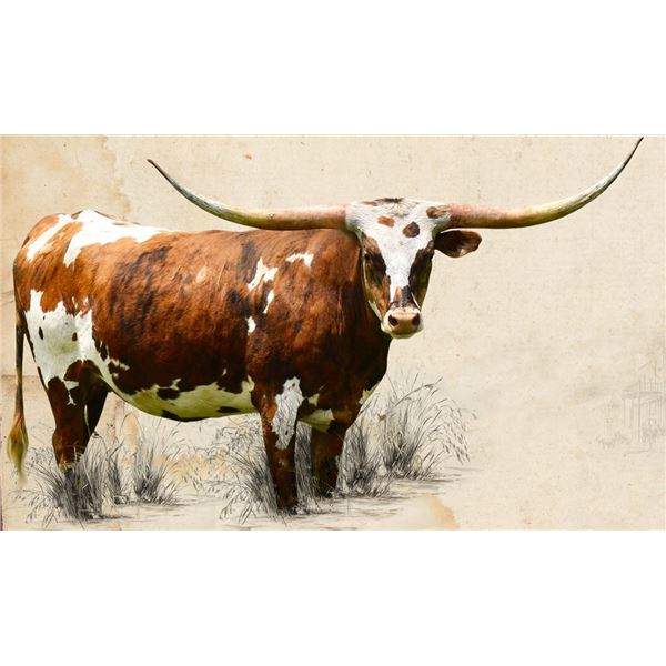 GLR ROYAL DRAGON GAL