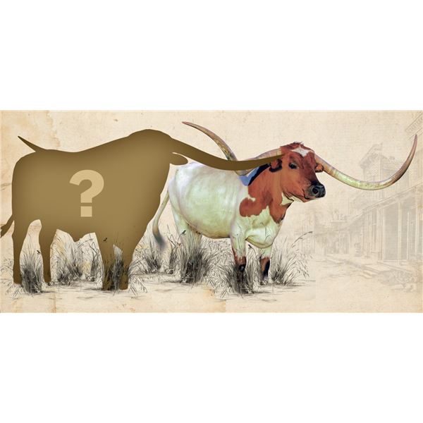 CHOICE SIRE X CARMEN 123 CB - Embryo