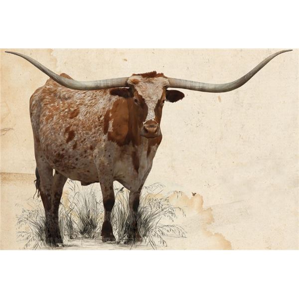 CADILLAC COWGIRL EOT 004