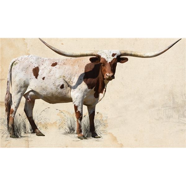 TEXANA CHIT CHAT (FLUSH OPTION)