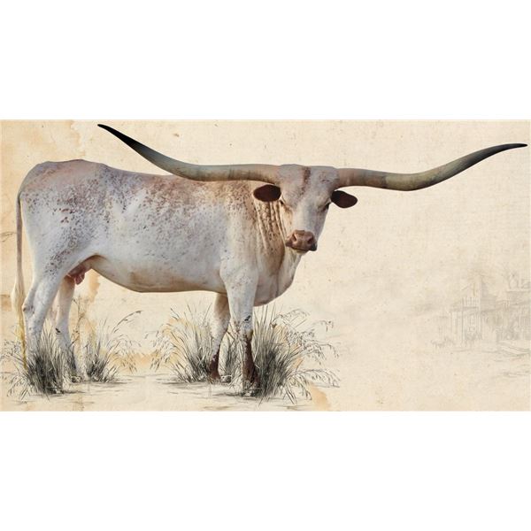 GLR MONACO'S LUCKY LADY