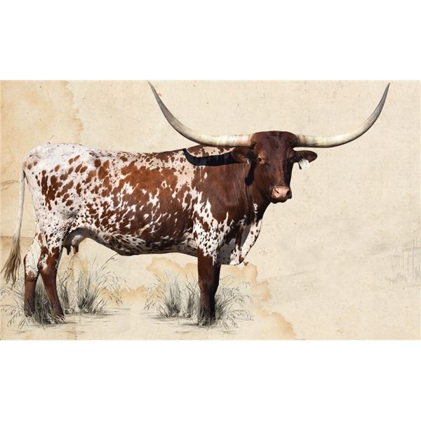 SR 007's Latta Chanel 633