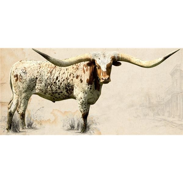 Zeus's Boomerang CCC