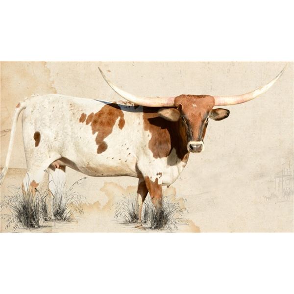 TS Aristocrat Harley