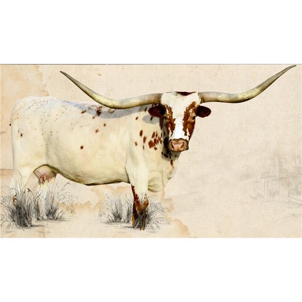 GLR MONACO'S GRAND LADY