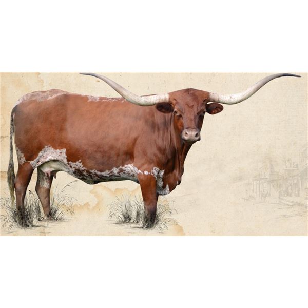 HUBBELLS RIO LINDA II