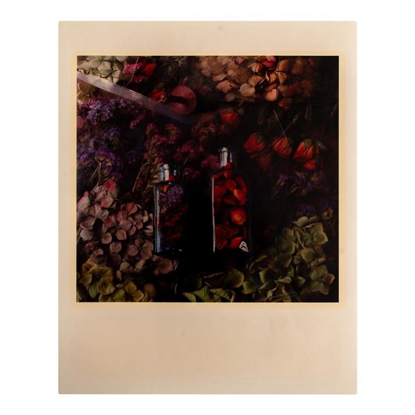 Elspeth Ross (British, 20th c.) Original Photography