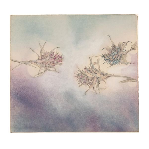 Lucia Covelli, Original Pastel on Paper, Bromiliads, Signed