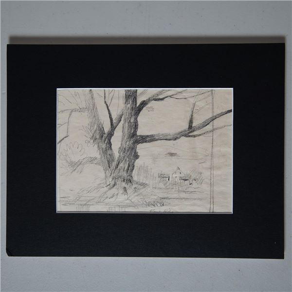 Paul Riba, Original Graphite Drawing on Paper, Tree, Signed