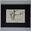 Image 1 : Paul Riba, Original Graphite Drawing on Paper, Tree, Signed