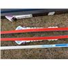 Image 3 : (2) Rottefella clip on skis (FISCHER/KARCOM) w/ (2) pair of cross country ski poles