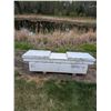 Image 2 : White Rusted Truck Box 72"x22”x18”