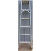 Image 1 : 6Ft ladder