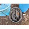 Image 2 : Water Barrel /2-Water Troughs