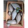 Image 1 : (5) Plastic Mallard Decoys For hunting