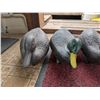 Image 3 : (5) Plastic Mallard Decoys For hunting