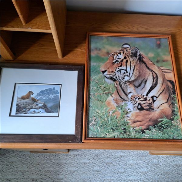 2 cat pictures, tiger, mountain lion