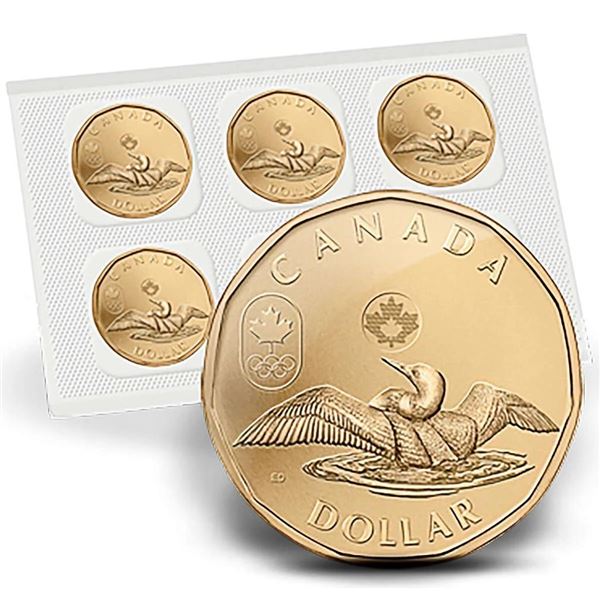 Canada 2012 Lucky Loonie 5 Pack Sealed One Dollar Coins