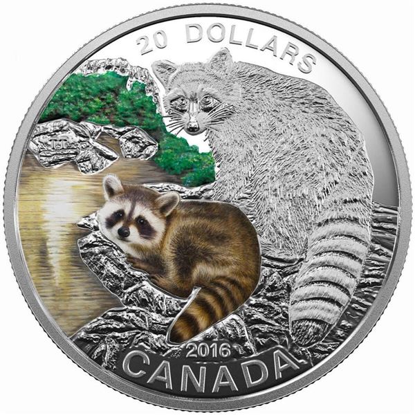 2016 $20 Baby Animals: Raccoon - Pure Silver Coin