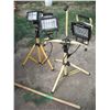Image 1 : 2 halogen worklights with stands