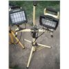 Image 3 : 2 halogen worklights with stands